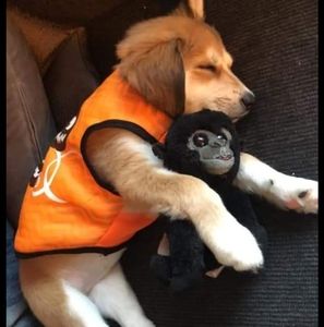 Meet your Posher, Max